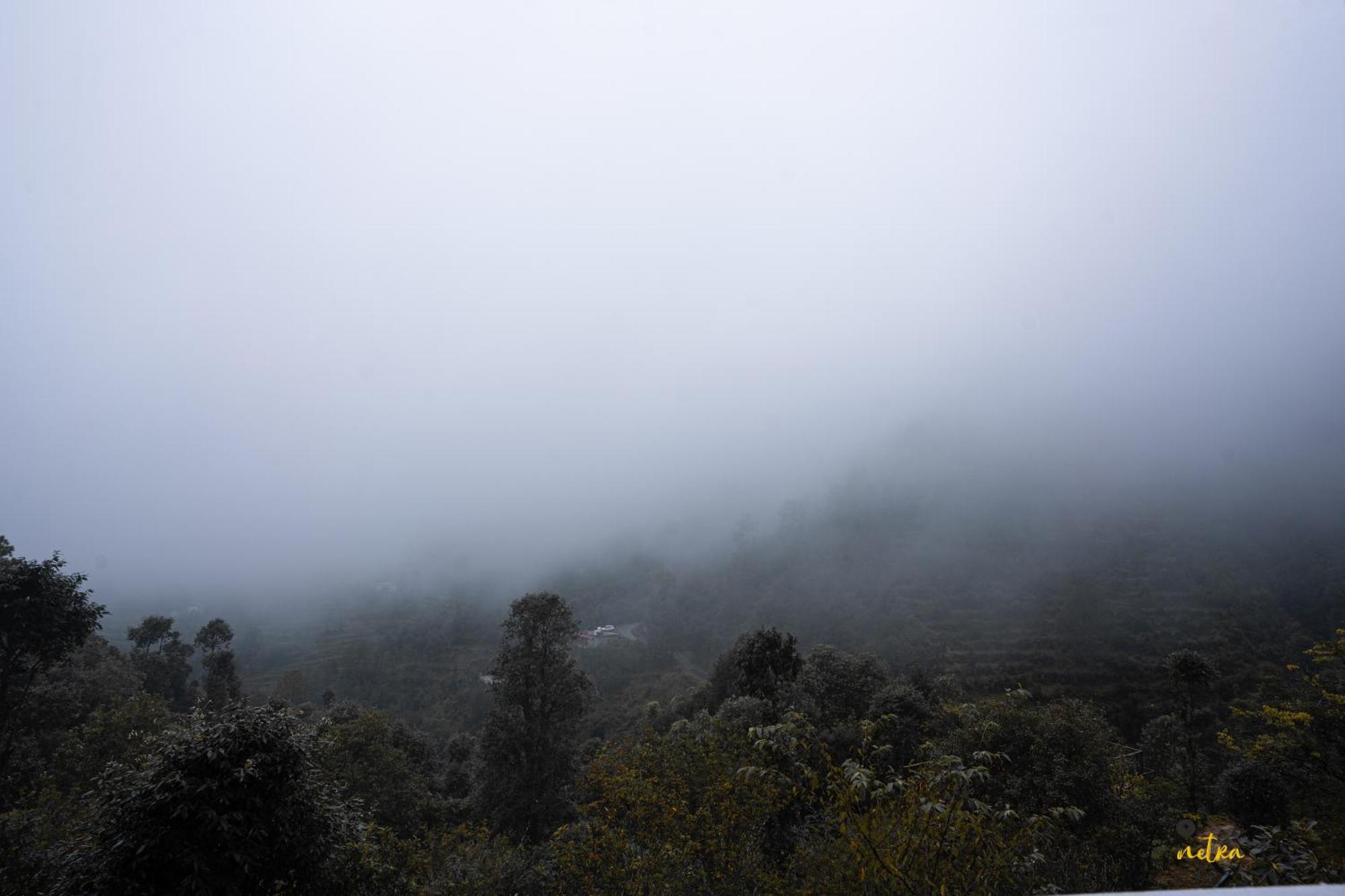 The Rare One'S Mukteshwar - Resort & Cafe Εξωτερικό φωτογραφία