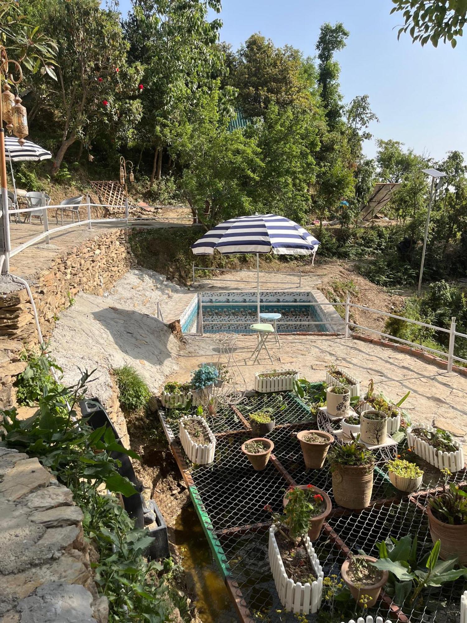 The Rare One'S Mukteshwar - Resort & Cafe Εξωτερικό φωτογραφία